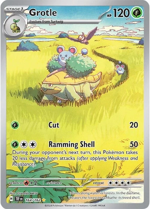 Grotle - 164/162 - (SV05: Temporal Forces) (Illustration Rare)
