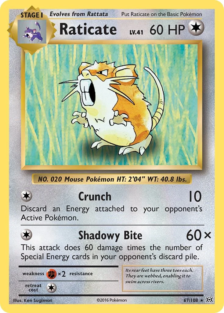 Raticate 67/108 - (XY - Evolutions) (Rare) Normal
