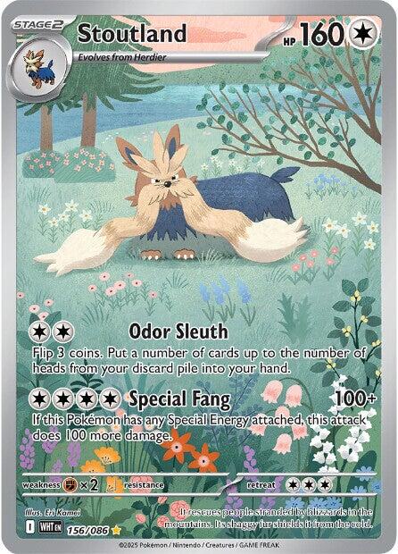 Stoutland - 156/086 - (SV: White Flare) (Illustration Rare) Holofoil